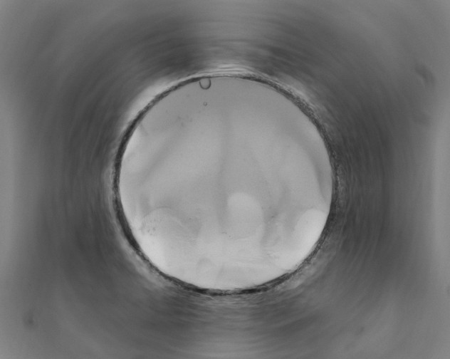 X0000111211422200908121122