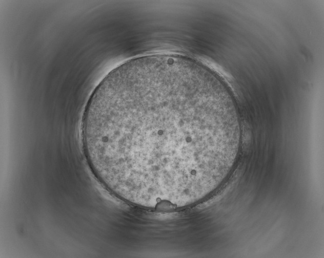 X0000111211423200908121122