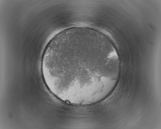 X0000111211424200908121122