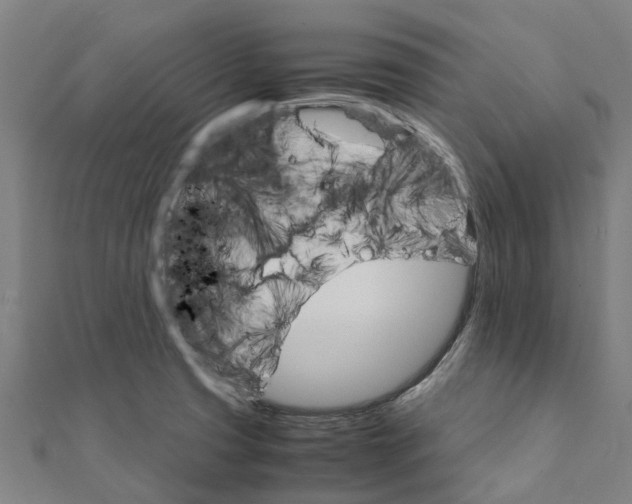 X0000111211425200908121122