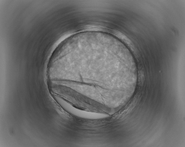 X0000111211427200908121122