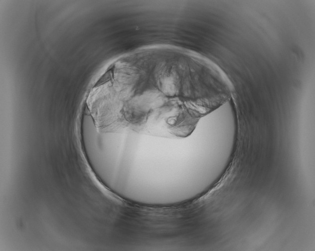 X0000111211429200908121122