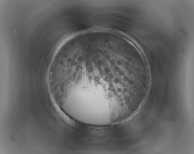 X0000111211431200908121122