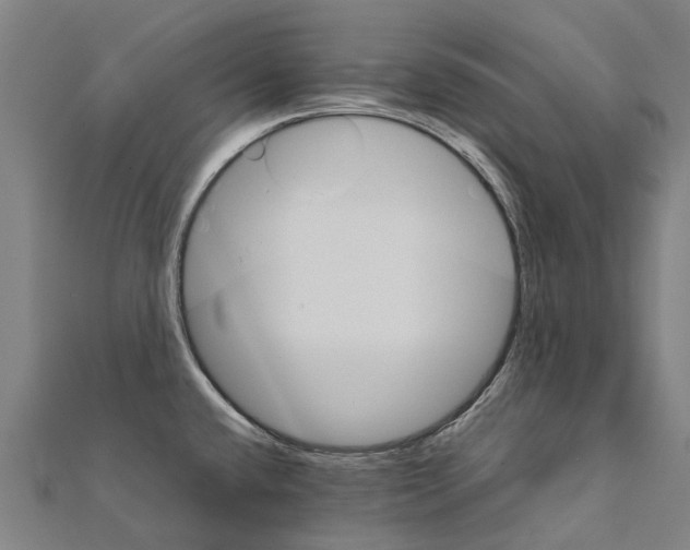 X0000111211432200908121122