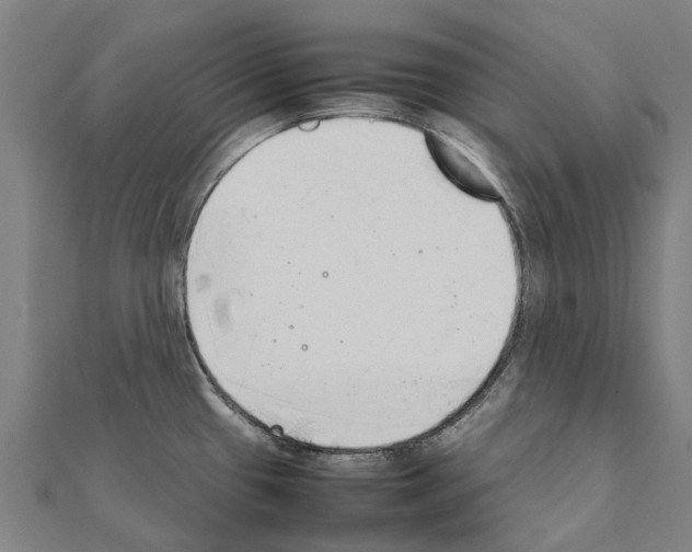 X0000111211433200908121122