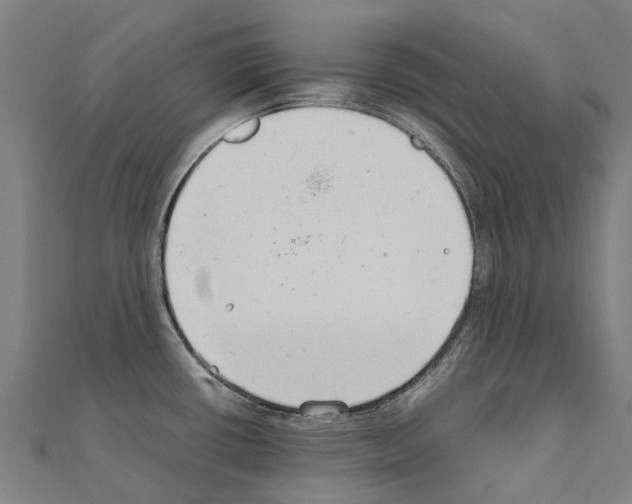 X0000111211434200908121122