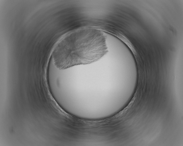 X0000111211436200908121122