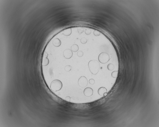 X0000111211437200908121122