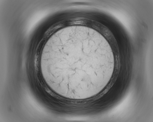 X0000111211438200908121123