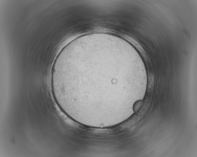 X0000111211439200908121123