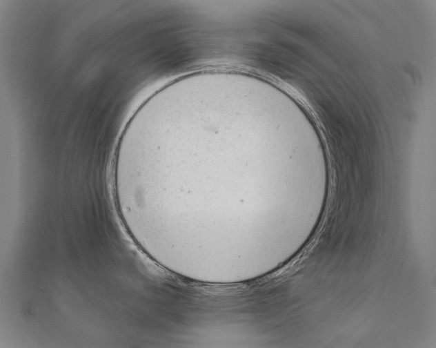 X0000111211440200908121123