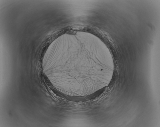 X0000111211445200908121122