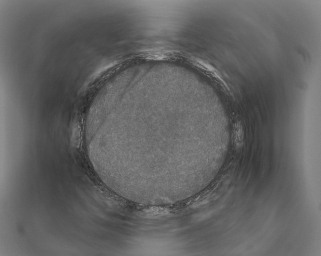 X0000111211446200908121122