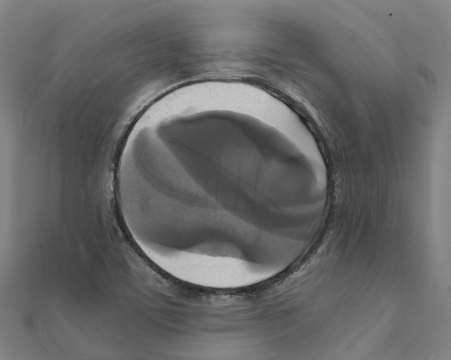 X0000111211459200908121122