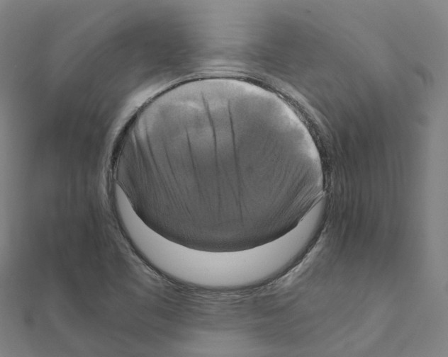 X0000111211461200908121122