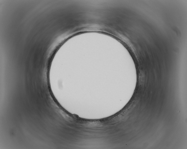 X0000111211464200908121122