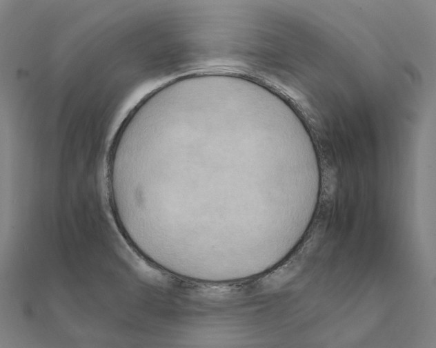 X0000111211470200908121122