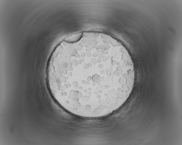 X0000111211471200908121122