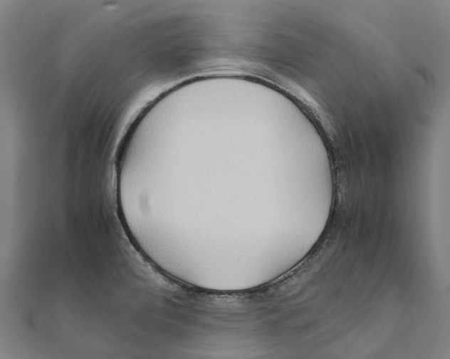 X0000111211472200908121122