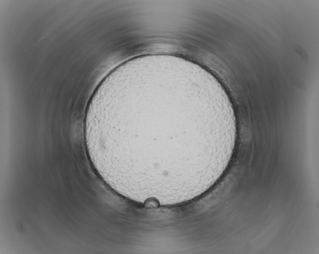 X0000111211473200908121122