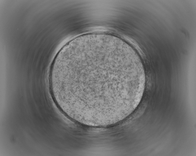 X0000111211475200908121121