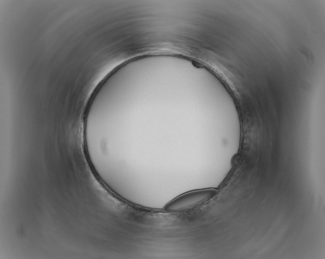 X0000111211476200908121121