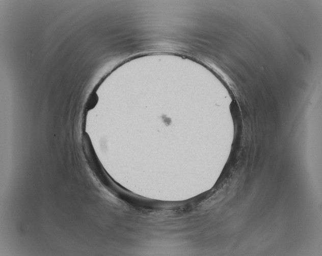 X0000111211477200908121121