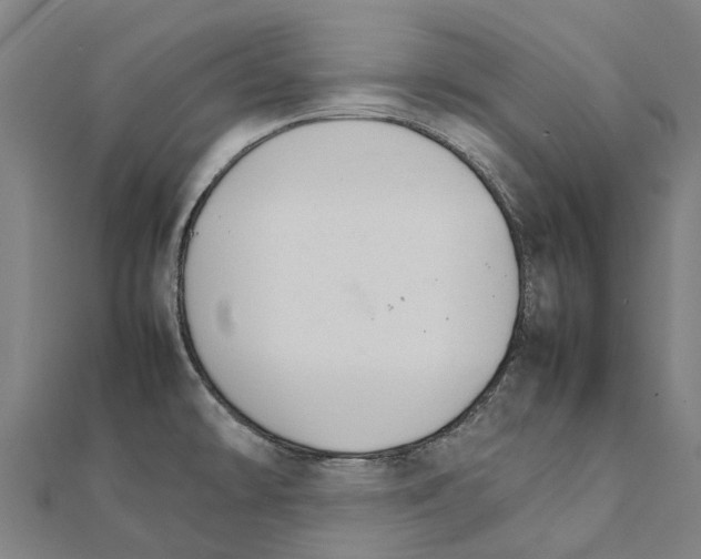 X0000111211478200908121121