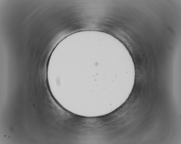 X0000111211479200908121121