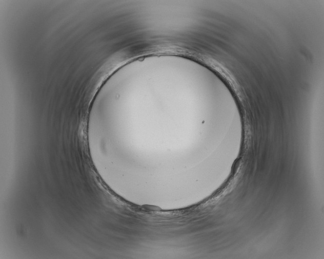 X0000111211481200908121121