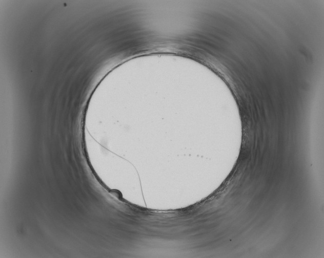 X0000111211483200908121121