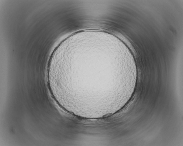 X0000111211485200908121121