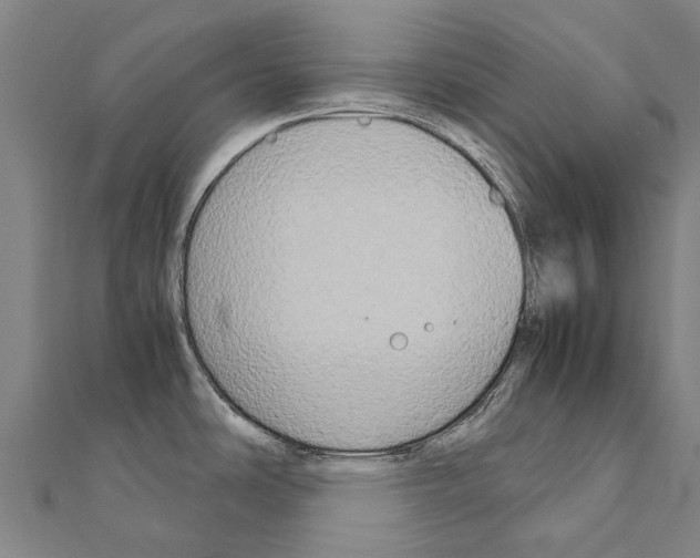 X0000111211486200908121121