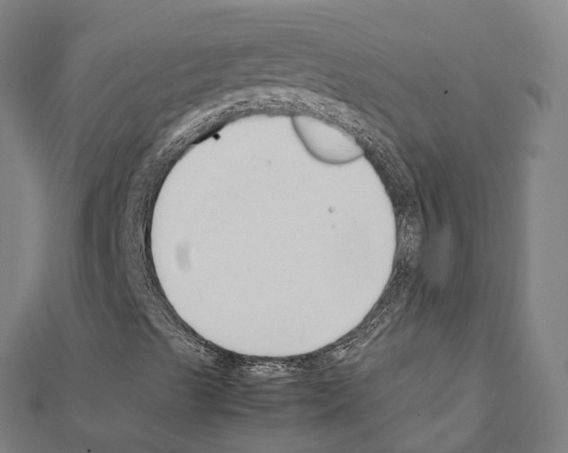 X0000111211489200908121120