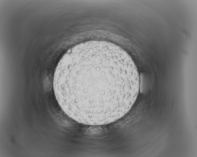 X0000111211491200908121121