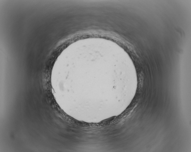 X0000111211494200908121121