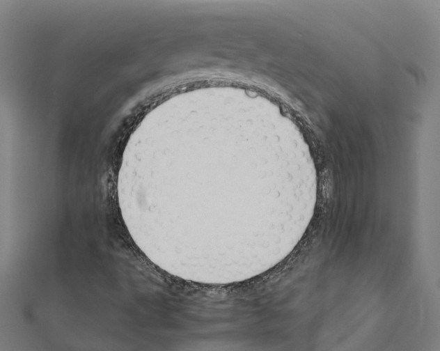 X0000111211495200908121121