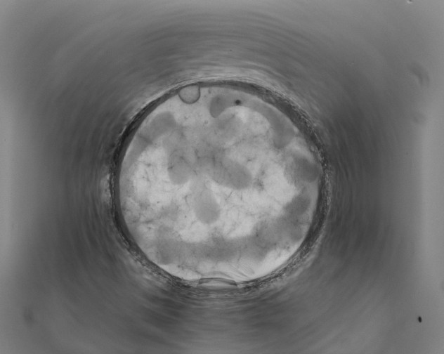 X0000111211497200908121121