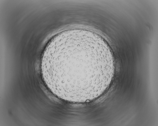 X0000111211499200908121121