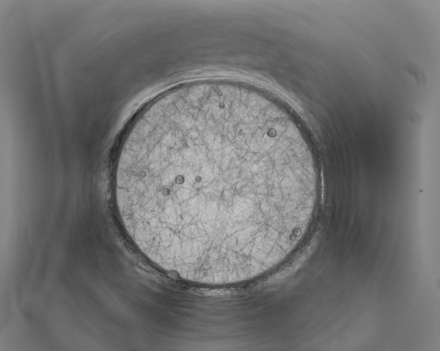 X0000111211501200908121121