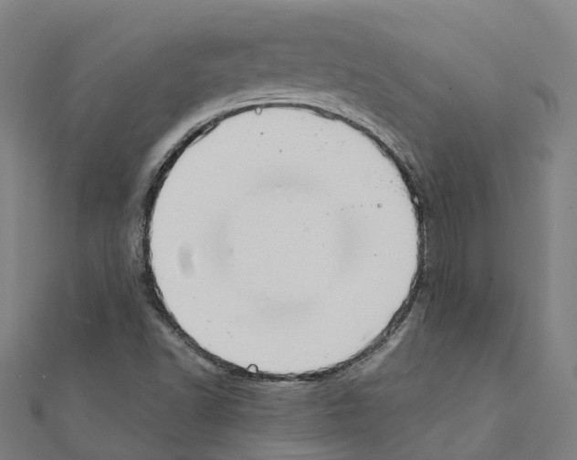 X0000111211502200908121121