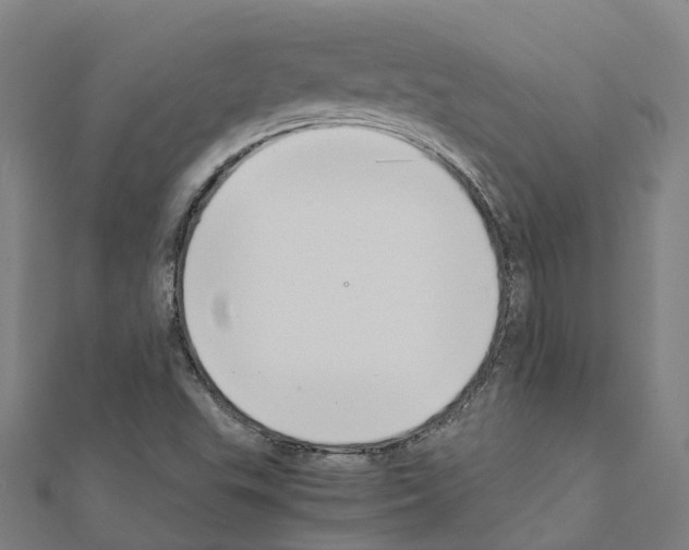 X0000111211503200908121121