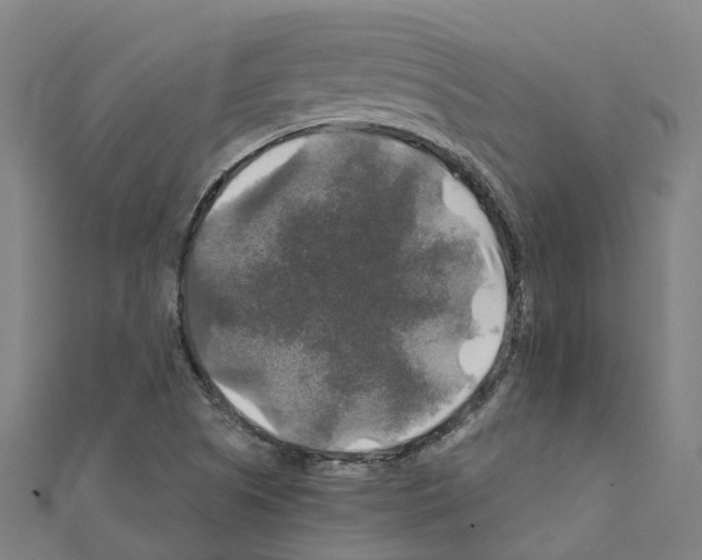 X0000111211505200908121121