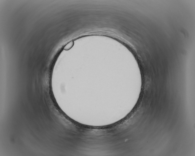 X0000111211506200908121121