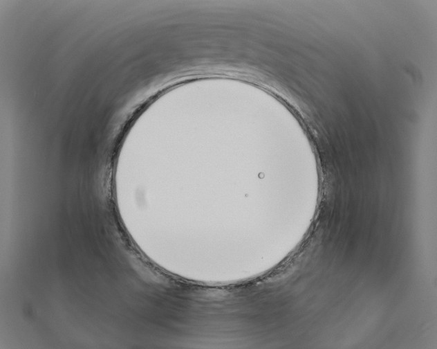 X0000111211507200908121121