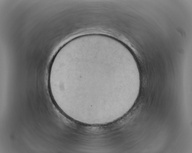 X0000111211508200908121121