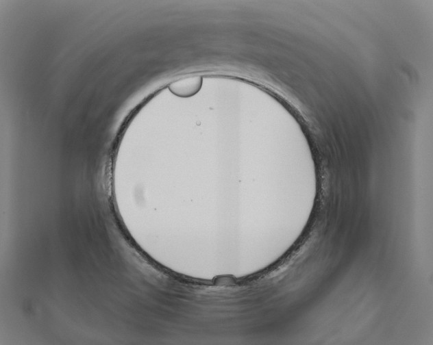 X0000111211510200908121121