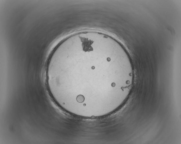 X0000111211511200908121121