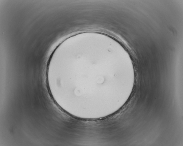 X0000111211512200908121121