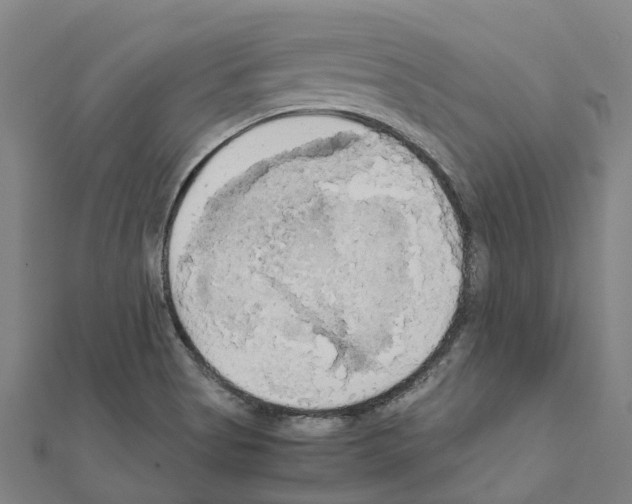 X0000111211513200908121121